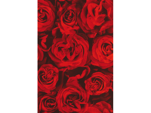 Apparaatrol kaleidoscope 200mx50cm red roses